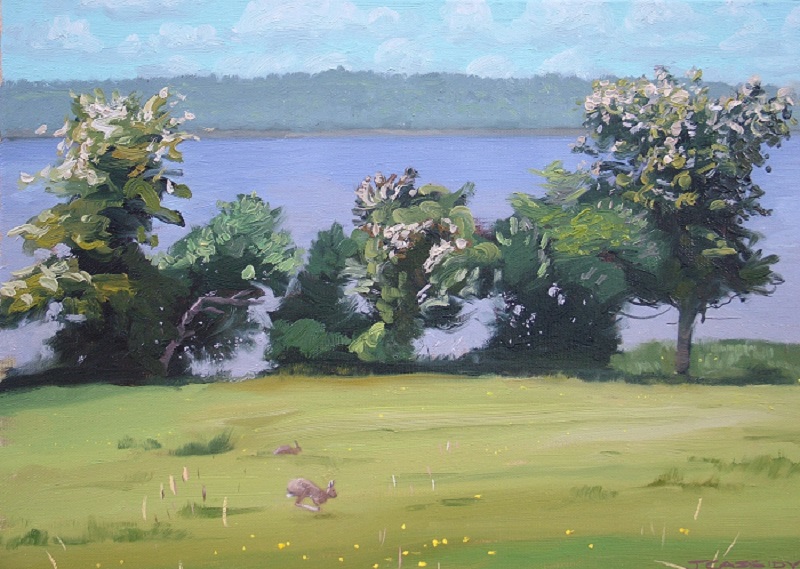 Hawthorns with Hares, Lough key, Co. Roscommon